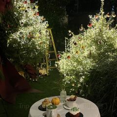 Cooperland User Photo