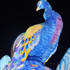 电子厂餐馆 여행 사진