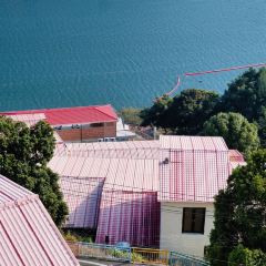 雄江湾河鲜楼 User Photo