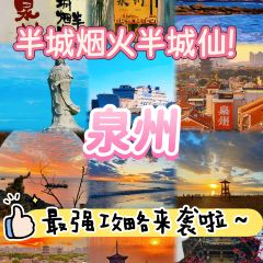 张林阿山姜母鸭(泉州新华北路店) User Photo