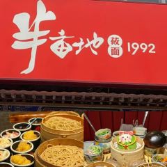 金戈铁骑铁帽烤肉 User Photo