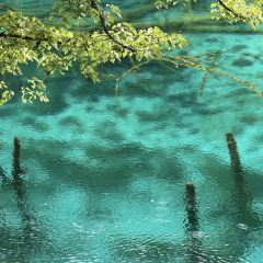 喜马拉雅音乐藏餐吧 User Photo