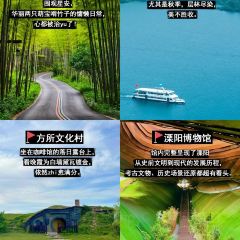 紫藤园·天目湖大鱼头(南山竹海店) User Photo