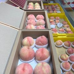 河阳鱼馆(凤凰店) User Photo