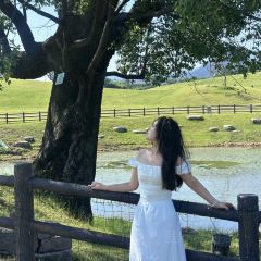 隔壁飯店張用戶圖片