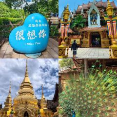 傣景园景颇族绿叶手抓饭 여행 사진
