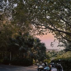 鲜粉之家(中山路店) User Photo