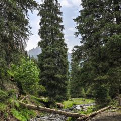 Shagou (miaopude) bishushanzhuang User Photo