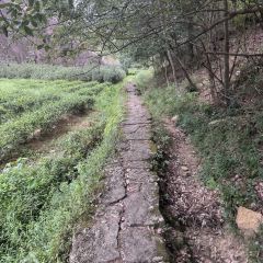 大三碗(旧街店) User Photo