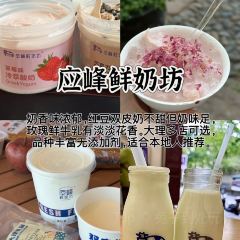 杨记饵块 User Photo