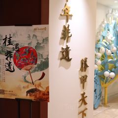 桂林漓江·瀑上酒店(象鼻山两江四湖店)·观星吧 User Photo