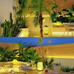 青夏空中花园餐厅 User Photo