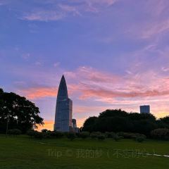 老顾客煲仔饭(蛇口店) User Photo