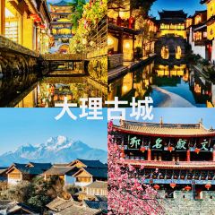 楊記餌塊張用戶圖片