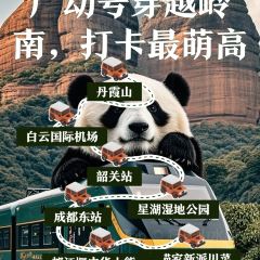 Panda Family User Photo