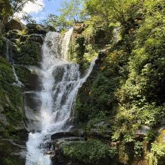 SHANGXILEICHA User Photo