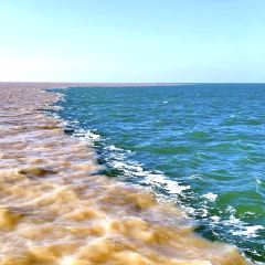 WU SHI SHAO KAO 여행 사진