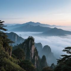 DOU XIANG SHI User Photo