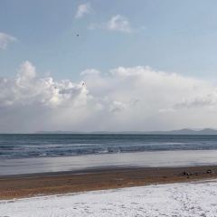 白浪咖啡張用戶圖片