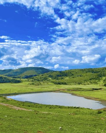 Heiba Grassland