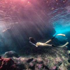 Oleai Beach Bar & Grill User Photo