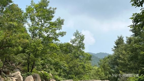 연꽃이 푸른 언덕을 표류하다