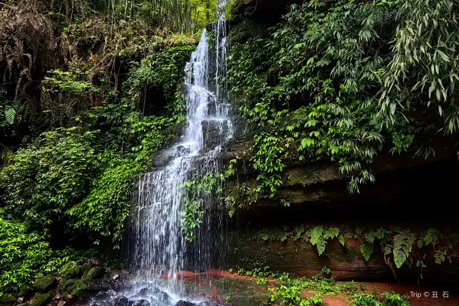 Dayuandong National Forest Park