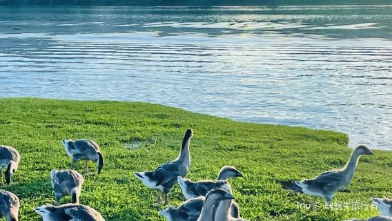 Yangchun Gangmei Nama Reservoir