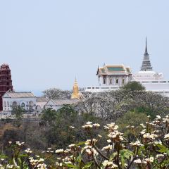 The Terracotta Garden At Lamphun User Photo
