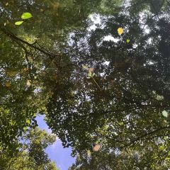 何記香辣跳跳蛙（蒸陽南路店）張用戶圖片