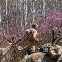 AO LU GU YA User Photo