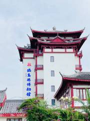 Lingaoxian Museum