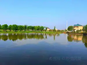 총명도