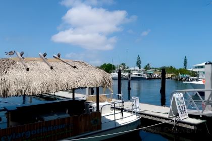 Casablanca Seafood Bar & Grill