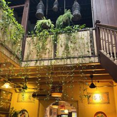 Wild Coriander Melaka User Photo
