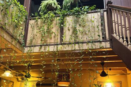 Wild Coriander Melaka