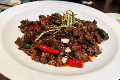 Dongfanghong·laotanduojiaoyutou (zhangguanqijian)