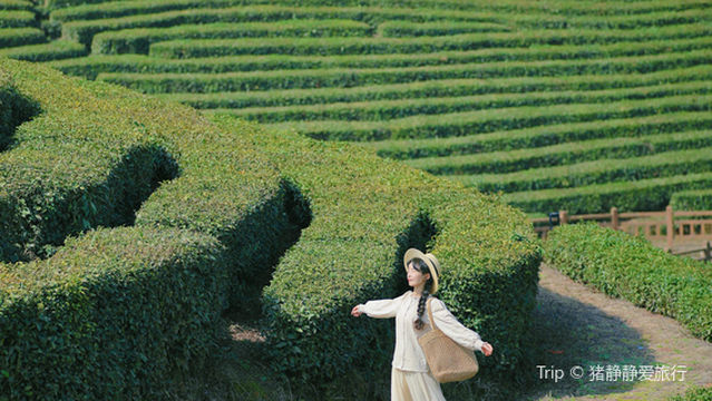 Hongxingping Village