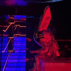 touch club 여행 사진