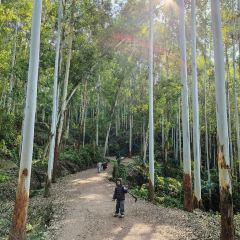 山涧别院 User Photo