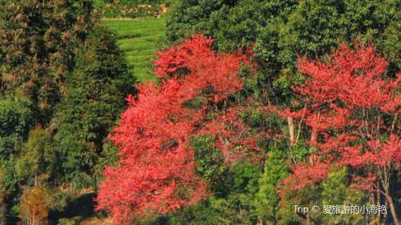 tai yuan shan zhuang ying hua yuan ( bai fu yuan )