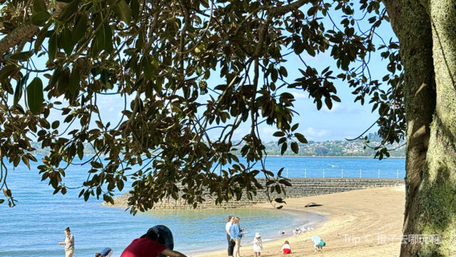 Devonport Beach