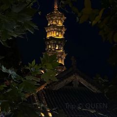 老裴鸭头.兔头 User Photo