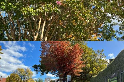 Charred Kitchen & Bar