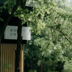 SHINKAI 여행 사진