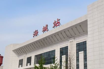 高晓山馅饼