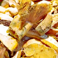牛锅菌·蒸汽石锅野生菌(景明北路店) User Photo