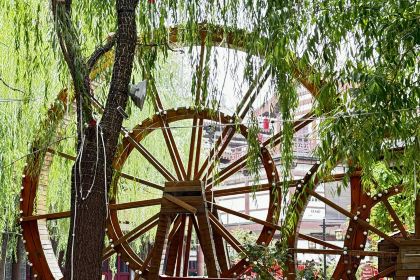 甘文生卤煮鸡(宋街店)