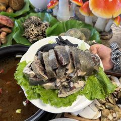 Shan jun wang  (baohai) 여행 사진