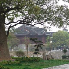 LAO MIN TIAN LUO GUAN User Photo